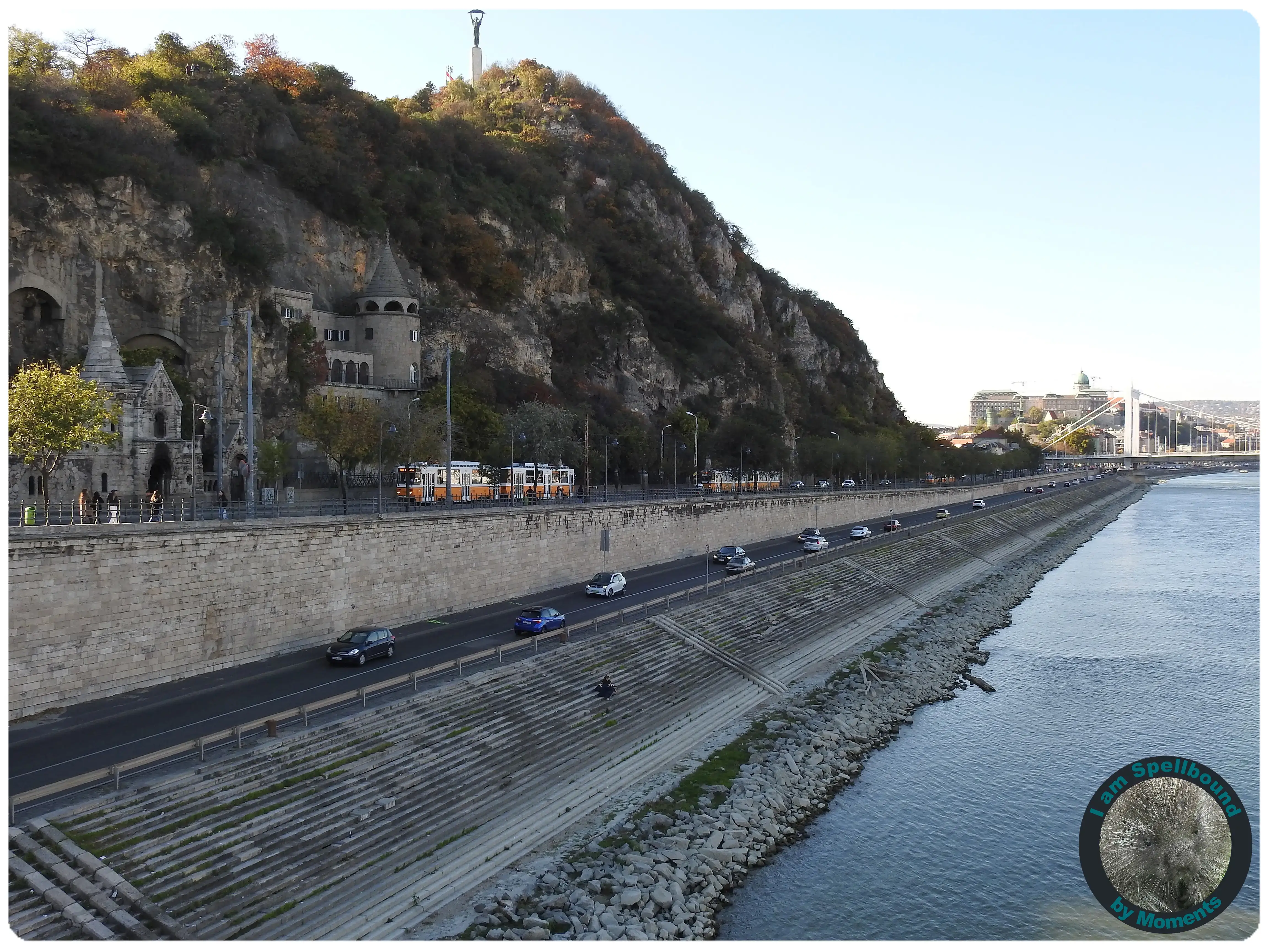 buda-quay