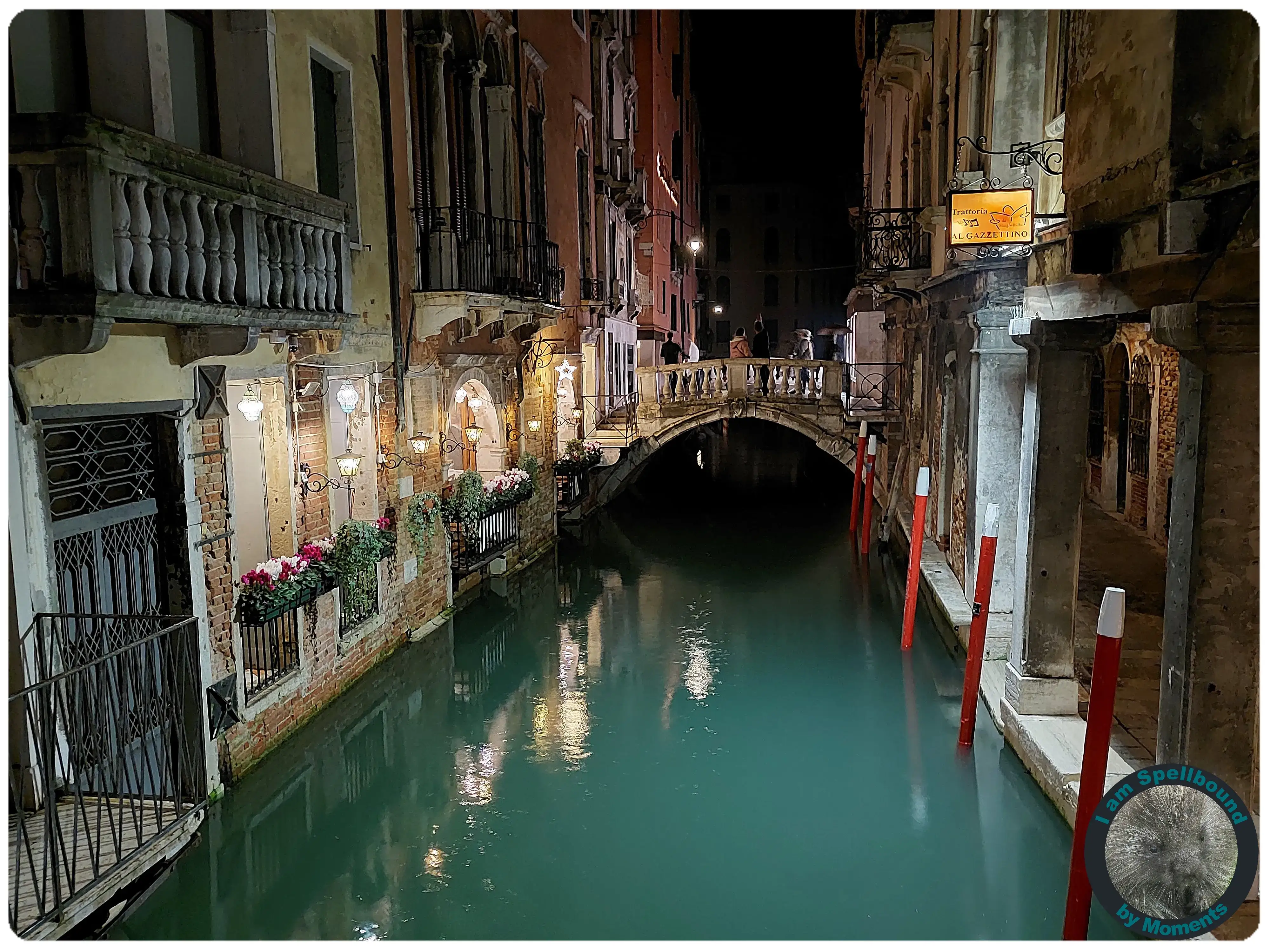 night-canal
