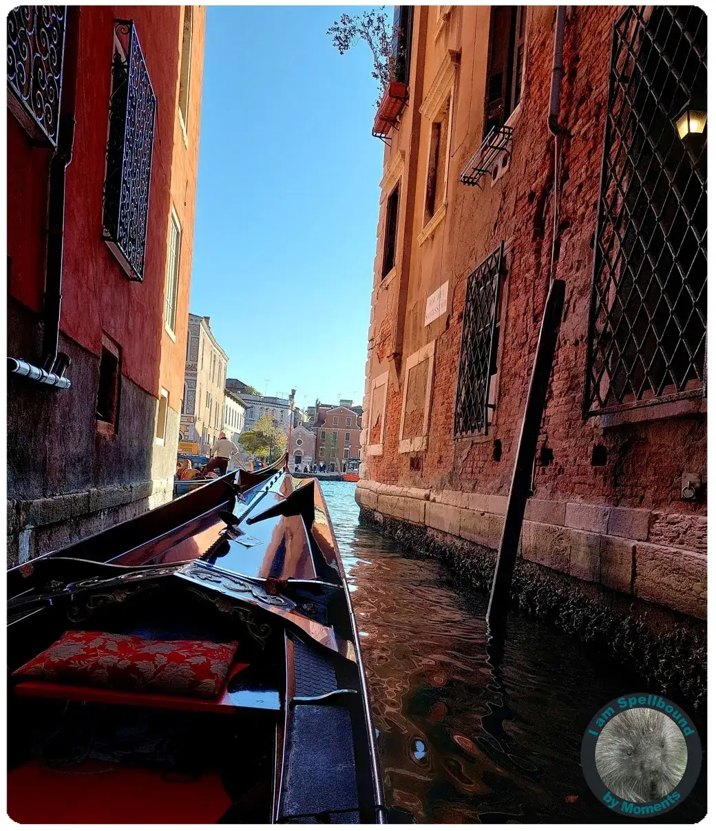 gondola