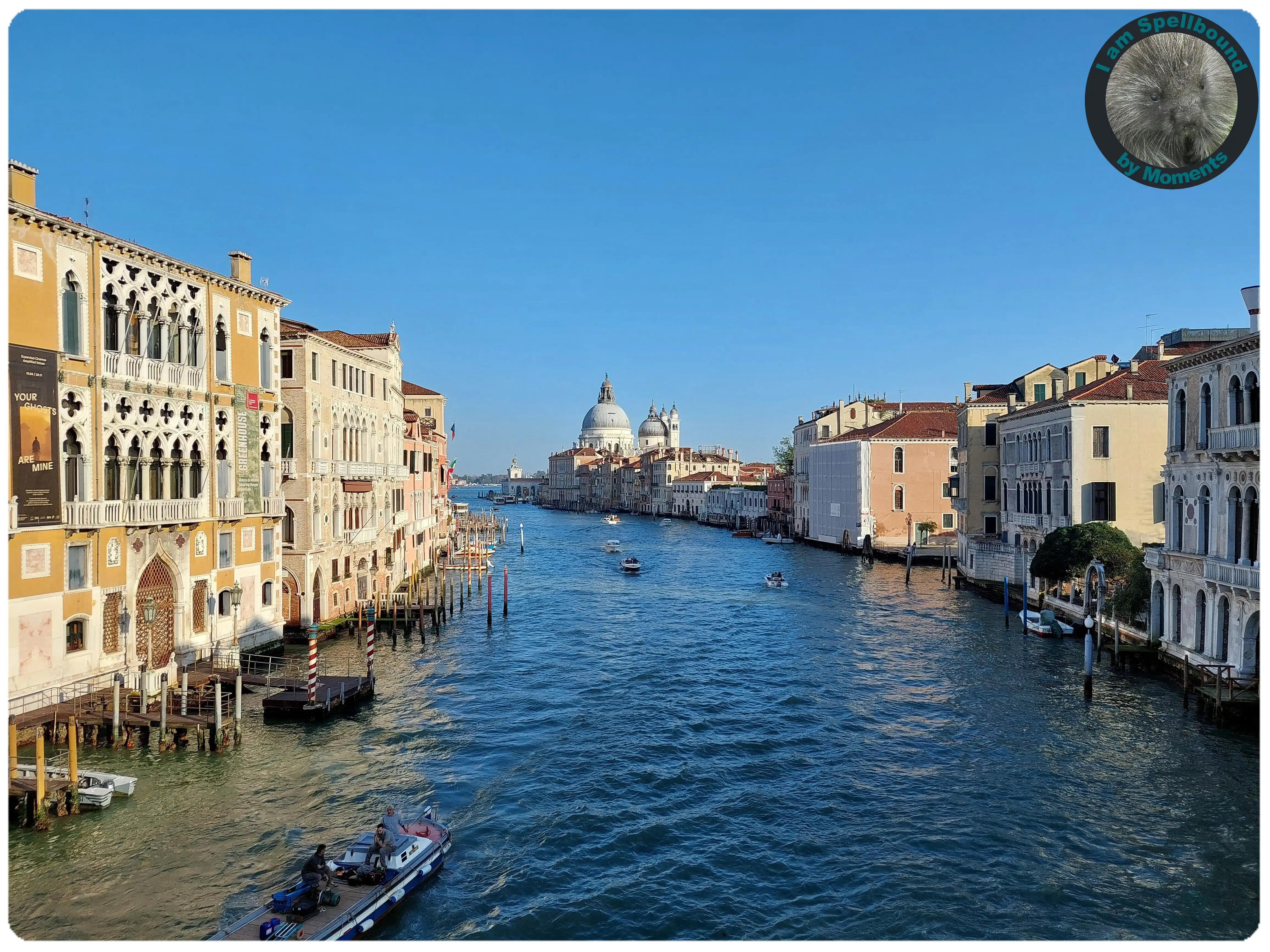 timeless-venice