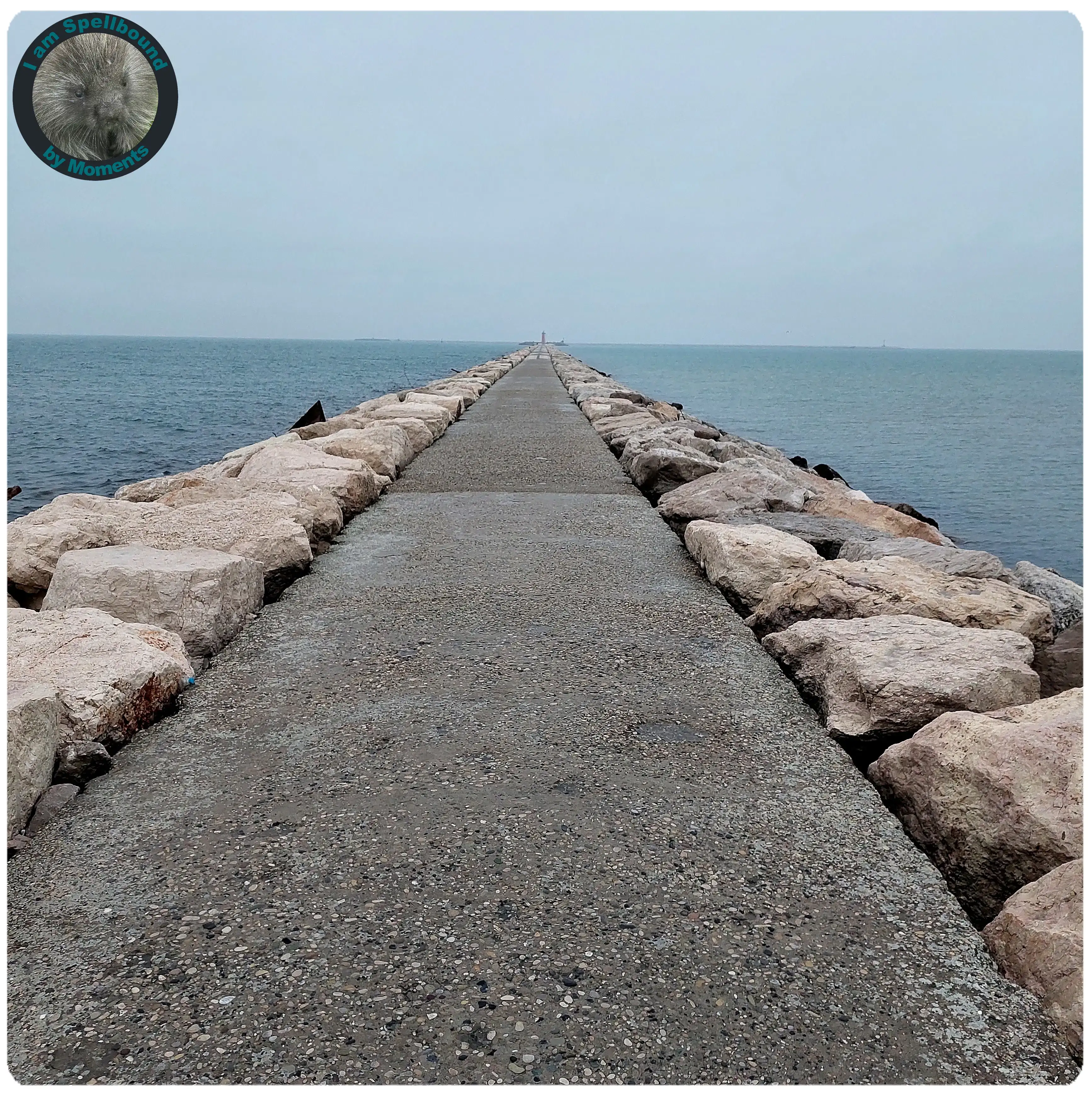 sea-lined-path
