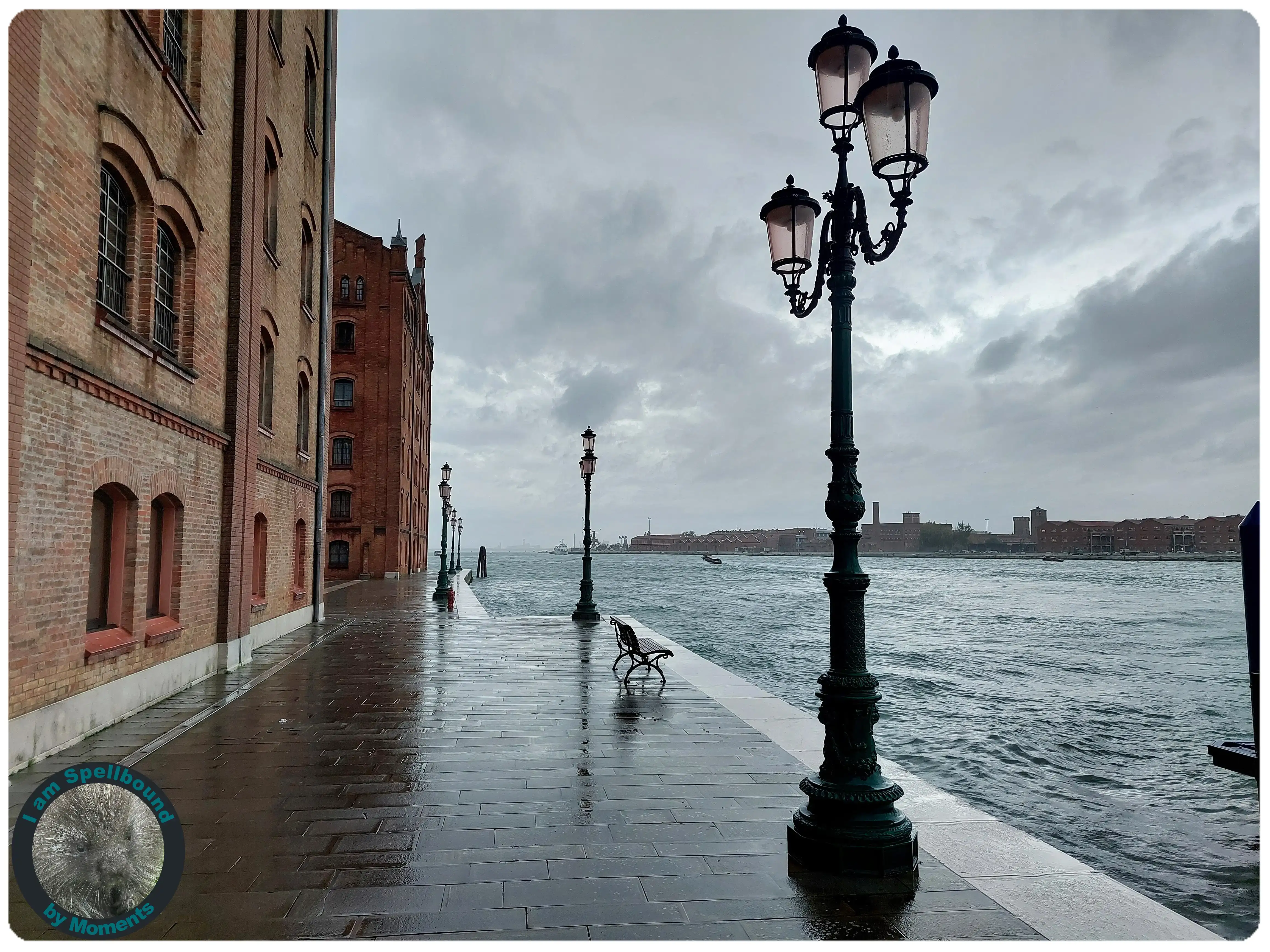 timeless-venice-2